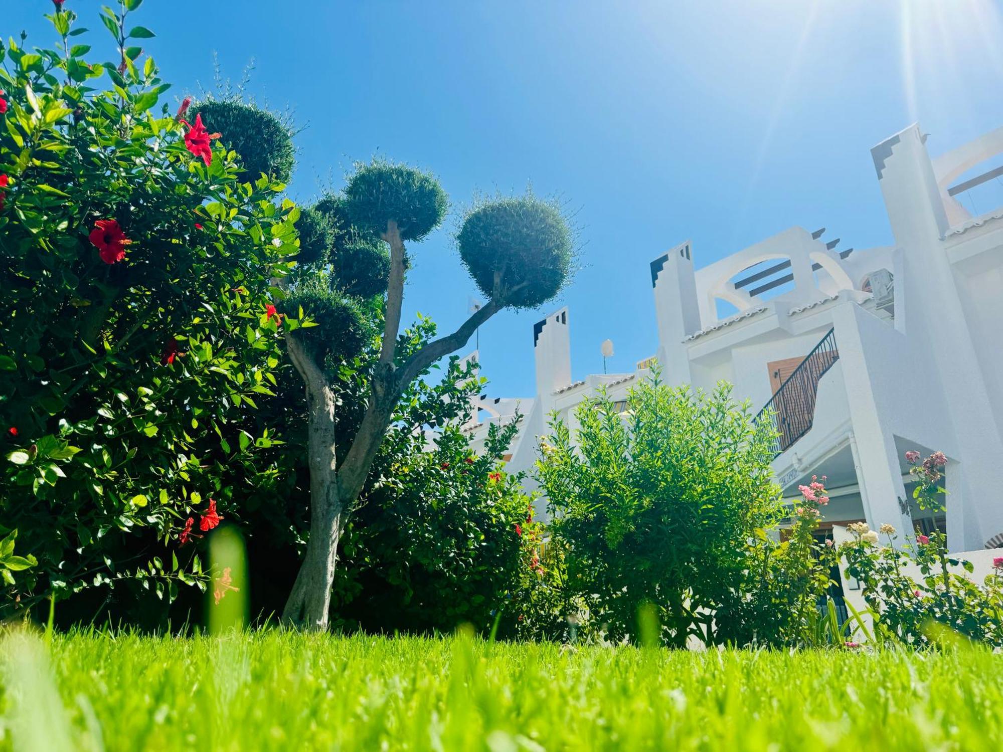 Contemporary House In Cabo Roig Villa Orihuela Exterior foto